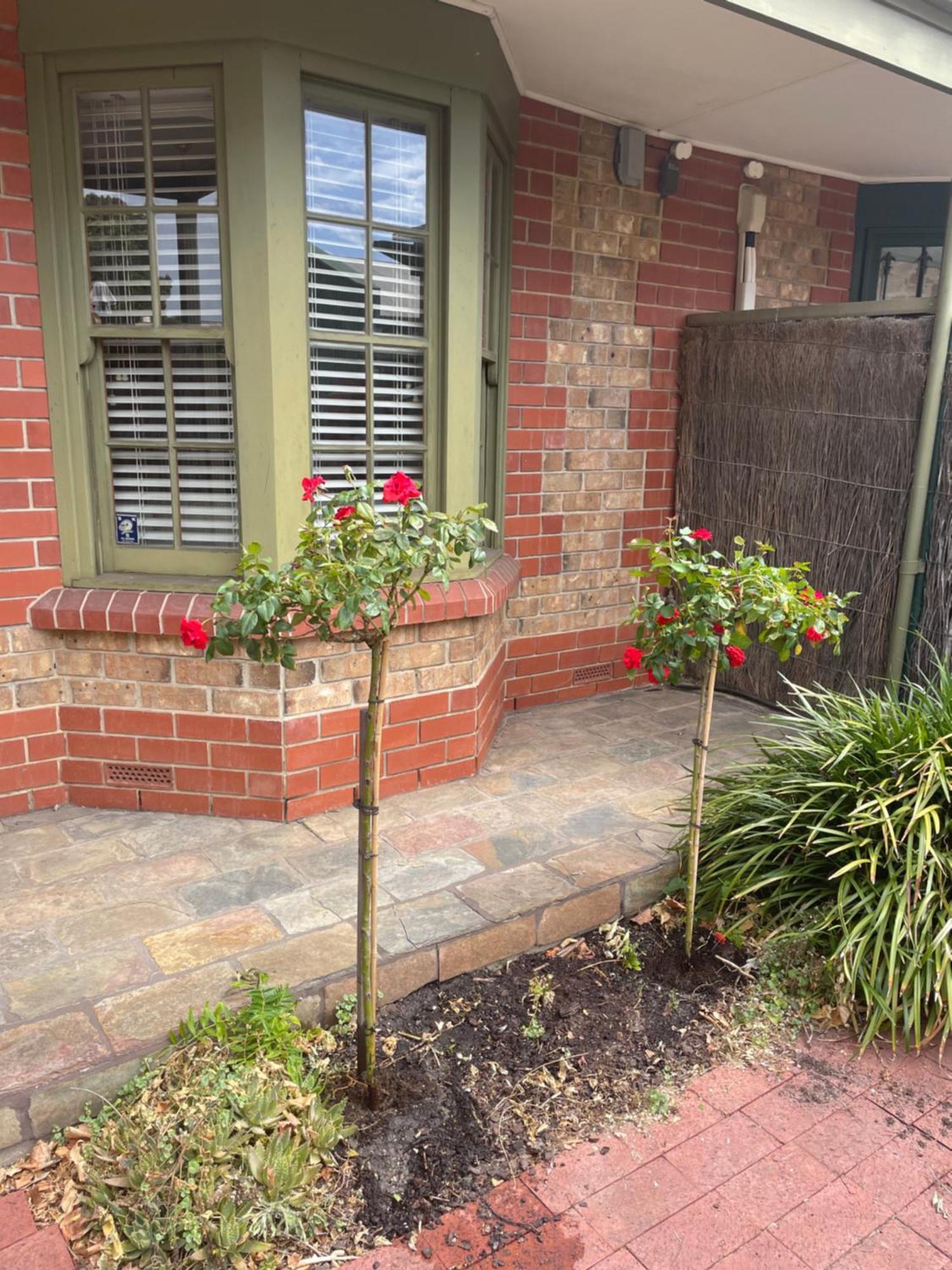 Adelaide Style Accommodation-Getaway In North Adelaide- Close To City Exteriér fotografie