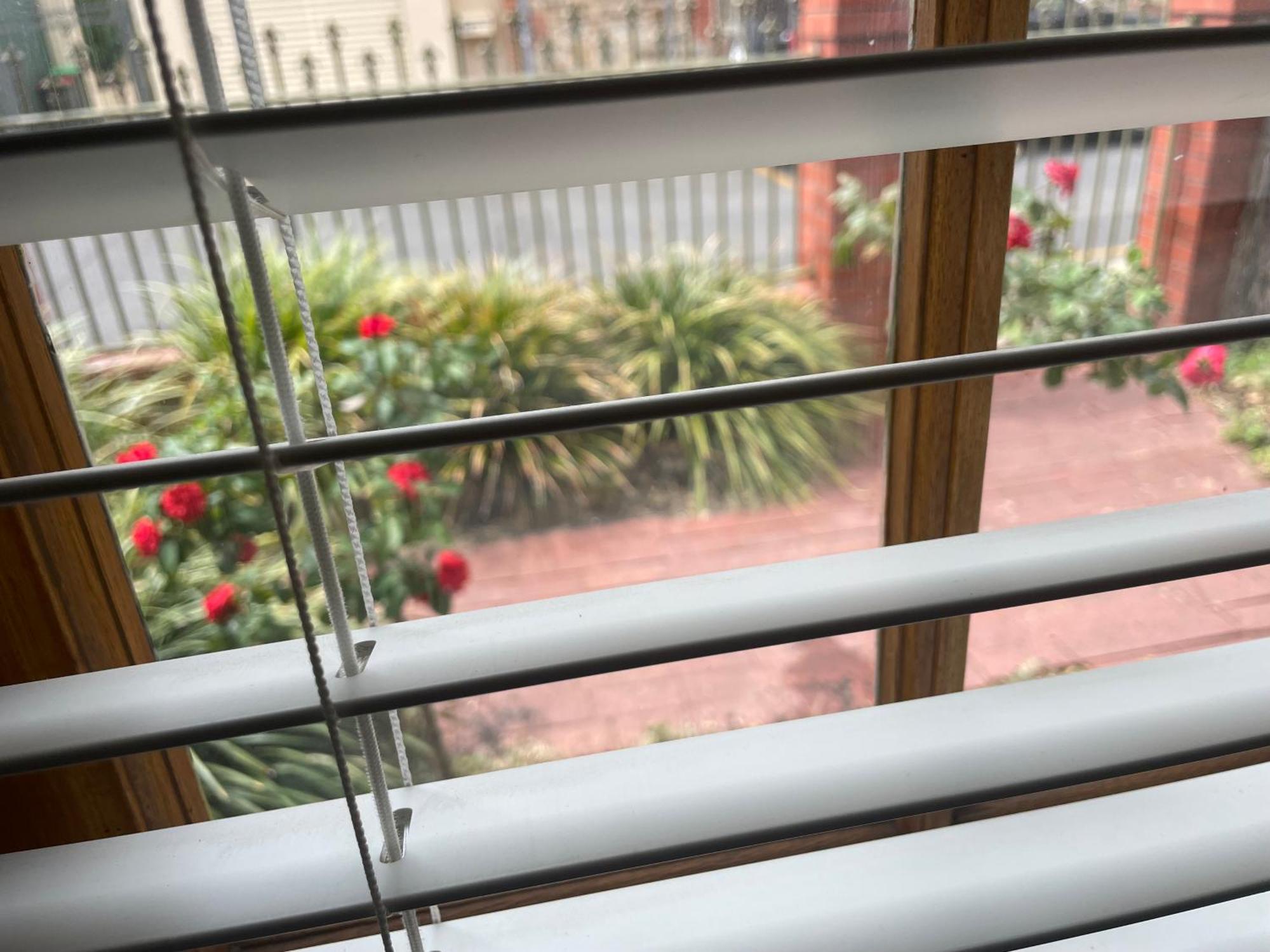 Adelaide Style Accommodation-Getaway In North Adelaide- Close To City Exteriér fotografie