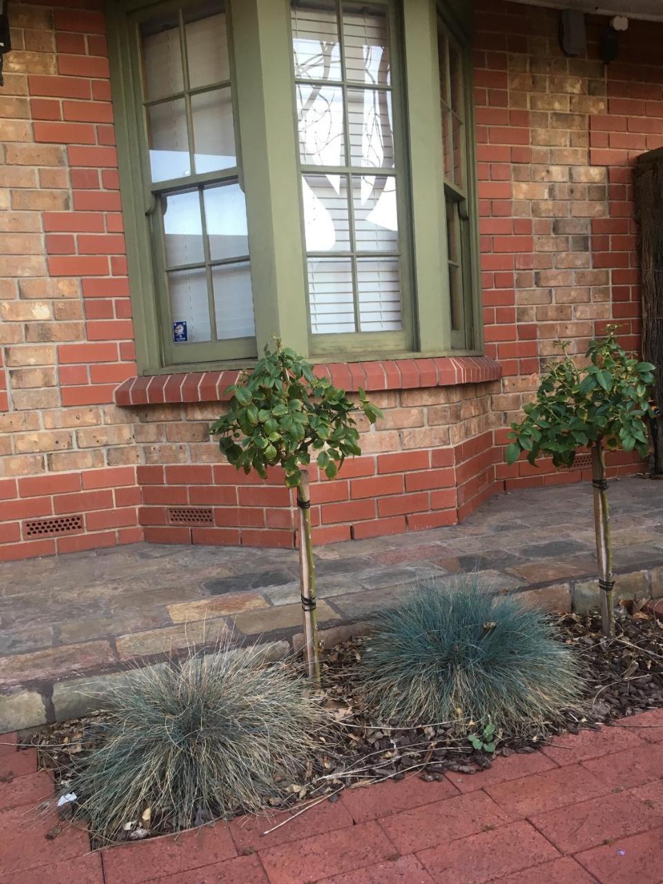 Adelaide Style Accommodation-Getaway In North Adelaide- Close To City Exteriér fotografie